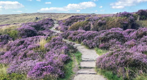 One of Britain's Favourite Paths